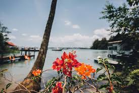 Tanjung bungah (also spelt as tanjong bungah) is a suburb of george town in penang, malaysia. Pulau 1080p 2k 4k 5k Hd Wallpapers Free Download Wallpaper Flare