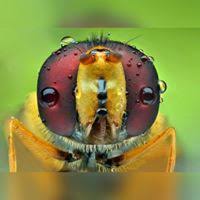 She has an ma and phd in applied linguistics from georgia state university. Gvcast T01e53 Trabalho E Familia Com Luciana Diniz