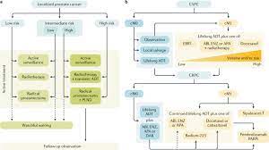 The pancreas is an organ that releases enzymes involved with digestion, and hormones to regular blood sugar levels. Prostate Cancer Nature Reviews Disease Primers