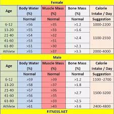 What Should Be The Muscle Mass And Fat Mass In A Healthy