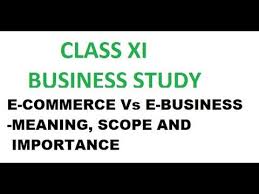 Class Xi Business Study E Business Vs E Commerce Meaning Scope And Imp In 2020 Business Studies E Business Meant To Be