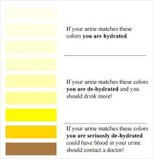 Urine Color Chart Mayo Clinic Color Templates Report