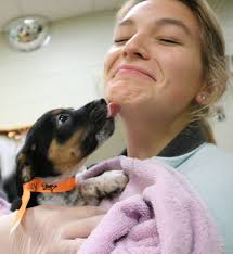 Oh, yeah. It's the LOVE TRAIN! (Look out for another post later this  afternoon. :) ) www.hshv.org/lovetrain