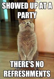 Showed Up At A Party Cat Meme Cat Planet Cat Planet