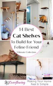 In this video i'm making a cat wall shelves. 14 Best Diy Cat Shelves To Build For Your Feline Friend