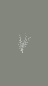Iphone Wallpaper Minimalist Boho Aesthetic Wallpaper Novocom Top Find over 100+ of the best free aesthetic images. iphone wallpaper minimalist boho