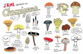Elise Gravel Auteure Illustratrice Champignon Dessin Champignons Farcis Illustration