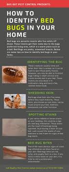 Bill's pest termite control helps residential and commercial property owners tackle their pest control and termite treatment problems with the best solutions. Detecting Bed Bugs In Your Home