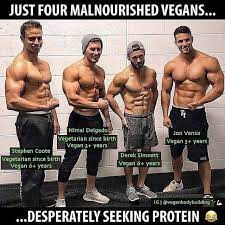 Vegan Memes Vegan Memes Vegan Bodybuilding Vegan Jokes