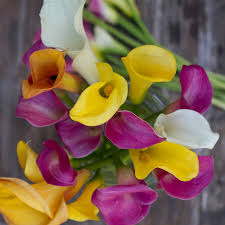 See more ideas about shark tank, shark tank success, shark. The Bouqs Flowers Bouqlove Pies And Plots