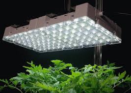 The best overall option is the roleadro led grow light. Best Indoor Grow Lights Top Rated Indoor Grow Lights Reviews