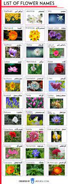 These are lists of flowers, not lists of flowering plants. List Of Flowers Name In English And Urdu With Pictures Download Pdf