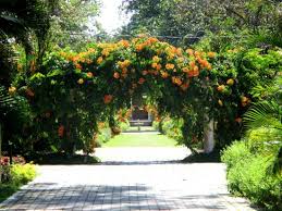 Tabel pasang laut pulau pinang. Entrance To The Secret Gardens Foto Taman Botani Penang Pulau Penang Tripadvisor