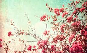 Desktop Wallpaper Vintage Flowers Hd Vintage Flowers Wallpaper Vintage Floral Backgrounds Vintage Desktop Wallpapers