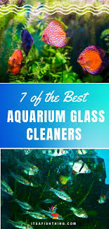 7 Best Aquarium Glass Cleaners And Algae Scrapers Magnet And Blade Options Saltwater Aquarium Beginner Saltwater Fish Tanks Saltwater Tank