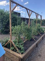 Pin On Vegetable Garden