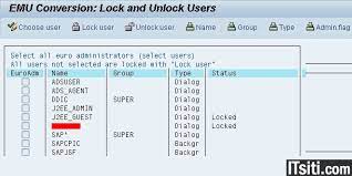 Tagged ase, ddic, ms sql, reset, sap, sql, sybase, unlock, user. Ewz5 Emu Conversion Lock Unlock Sap Users