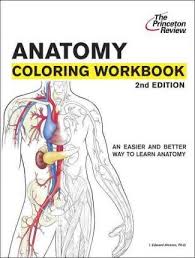 Anatomy & physiology coloring workbook: Anatomy Coloring Workbook Bk 2 I Edward Alcamo 9780375763427