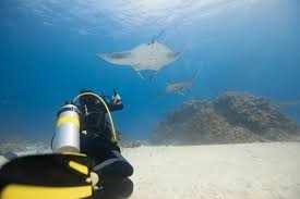 Oceanfront resorthard rock hotel maldives. Maldives Underwater Hotels The Ultimate Experience The Maldives Expert
