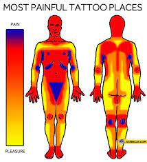 Head, face, and ears like the neck, your head, face, and ears contain many. Most Painful Tattoo Places Starecat Com