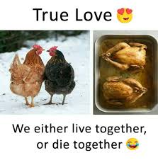 True love is we either live together or die together meme - Tamil Memes