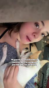 Canción especial para mi perra