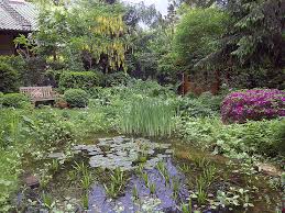 Das gedruckte jahresprogramm unserer offenen gärten enthält dieses jahr 116 gärten mit gartenbeschreibungen, adressen und. Offene Garten Im Mai Potsdamer