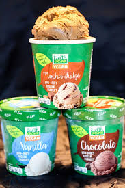5 Store Brands Of Dairy Free Ice Cream You Didn T Know Existed Dairy Free Ice Cream Lactose Free Ice Cream Healthy Ice Cream Brands