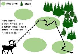 We did not find results for: Functional Responses In Animal Movement Explain Spatial Heterogeneity In Animal Habitat Relationships Mason 2017 Journal Of Animal Ecology Wiley Online Library