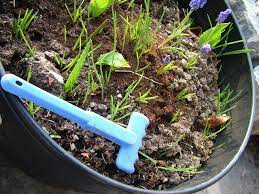 Les cafés les plus nobles, pour les amateurs, les connaisseurs, mais aussi pour la découverte. Marc De Cafe Utilisations