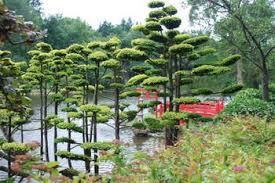 Parc Oriental De Maulevrier Jardin Japonais Sommaire Parc Oriental Le Parc Decouverte Phototheque Jardin Japonais Jardin Extraordinaire Jardins