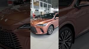 Image result for Copper Crest 2023 LC