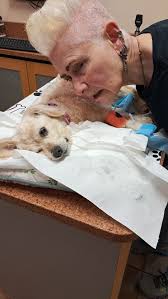 Grief and support for loss of a beloved pet