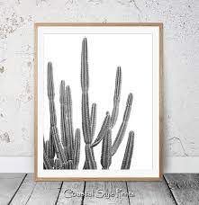 Cactus print, black and white cactus art, printable wall art, succulent print, instant download. Desert Cactus Print Black And White Succulent Print Etsy Interior De Apartamentos Ilustracoes Interiores