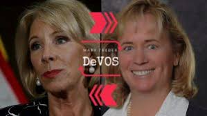 Michigan GOP Secretary of State nominee Mary Treder Lang says voter purges  helped Donald Trump win Michigan. And she's promising more if she wins in  2018.