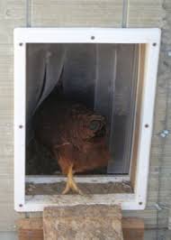 Easy Chicken Coop Plans Freecycle Pet Chickens Chicken Coop Building A Chicken Coop