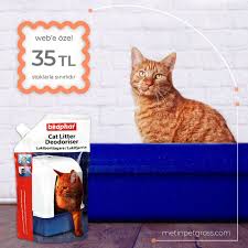 Beaphar Kedi Kumu Koku Onleyici Web E Ozel Sadece 35 Tl Stoklarla Sinirlidir Https Www Metinpetgross Com Kedi Tuvalet Ve Urunleri Kedi Urunler Tuvaletler
