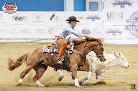 ERCHA/NRCHA PREFUTURITY 2014