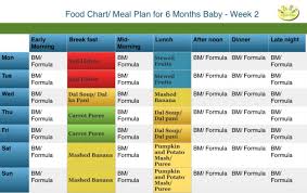 6 month baby food chart gallery of chart 2019