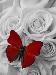 Embroidery Diy Diamond Painting Cross Stitch Kit In 2020 Red Butterfly Flower Phone Wallpaper Butterfly Painting