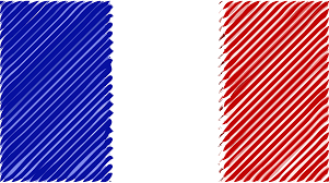 Rounded world flags icons in pack: France Flag Linear Icons Png Free Png And Icons Downloads