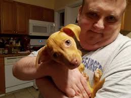 Obituary for Jerry Allen Oden