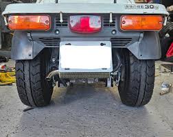 Image result for Gyrodoma hispida