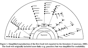 Food chains can link together to form food webs. Building Food Webs Simple Or Complex Marmaed