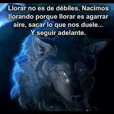Llorar No Es De Debiles Criaturas Miticas Arte De Criaturas Miticas Frases De Lobos