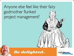 Meme Fairy Godmother Funny Project Management Office Employees Work Workplace Humour Fairy Godmother Disney Jokes Ecards Funny