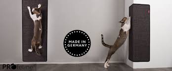 Befestigen sie diese dann gerade mit hilfe einer wasserwaage an der wand. Sisal Kratzmatten Und Kratzteppiche Fur Katzen Profeline