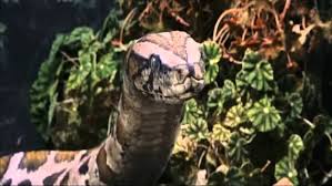 The snake escapes and makes a run for it. The Zoo Harry Potter S Twin Sister