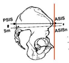 Psis () günel kadro ve piyasa değerleri transferler söylentiler oyuncu istatistikleri fikstür haberler. Neutral Pelvis Too