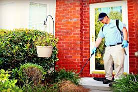 Massey services in st augustine, fl offers pest control for household pests, termites, and bed bugs. 5 Best Pest Control Companies In Jacksonville